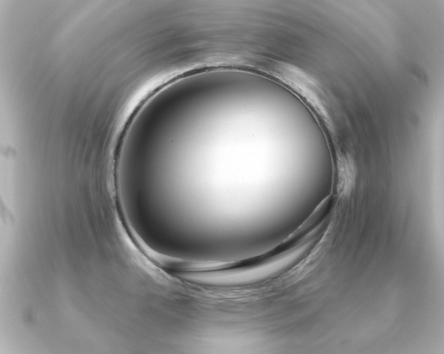 X0000091191342200708091242