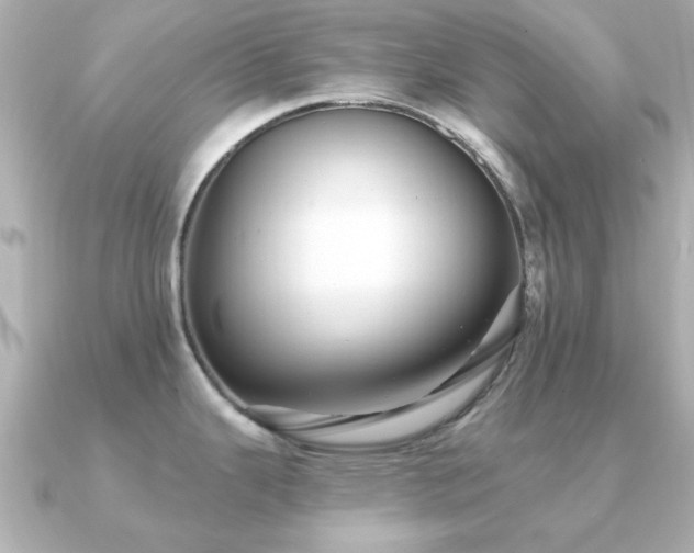 X0000091191343200708091242