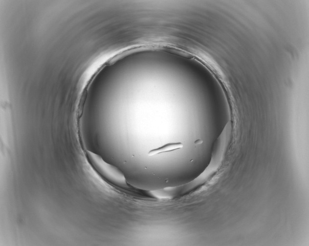 X0000091191344200708091242