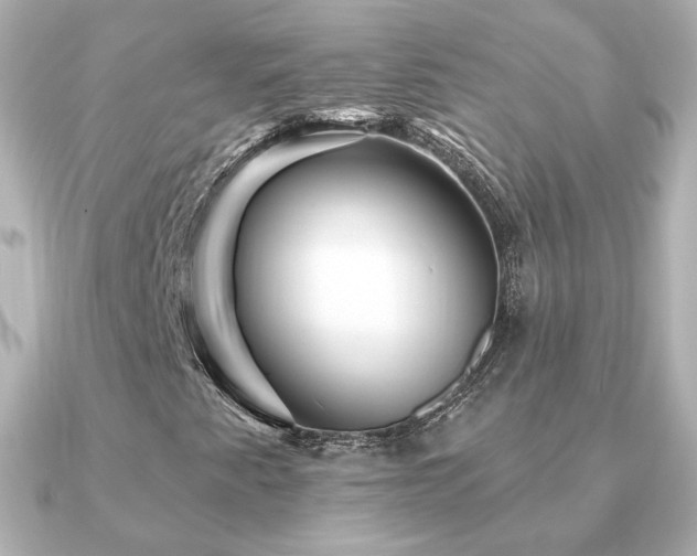 X0000091191345200708091242