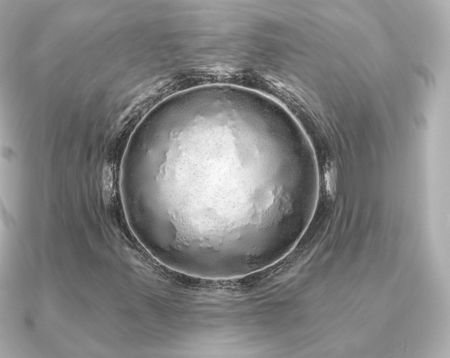 X0000091191347200708091242