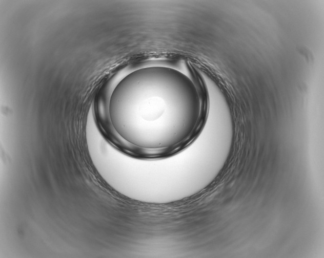 X0000091191348200708091242