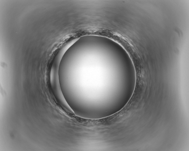 X0000091191349200708091242