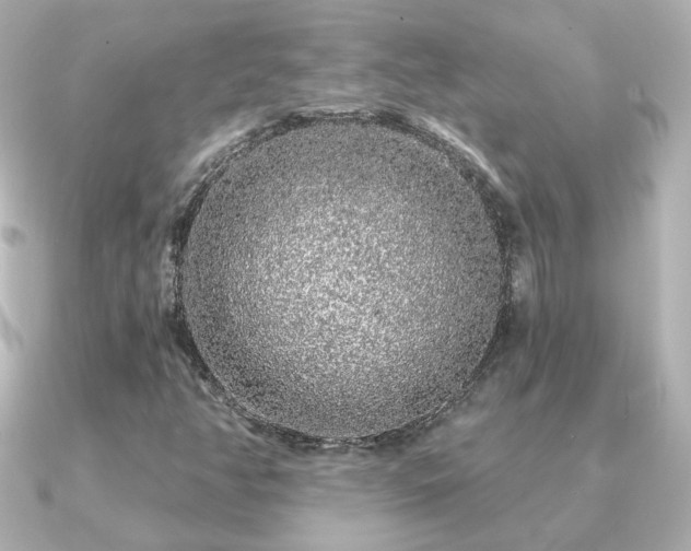 X0000091191350200708091242