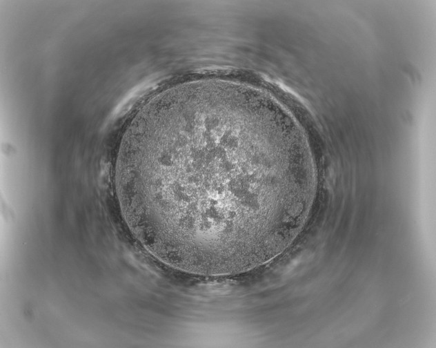 X0000091191351200708091242