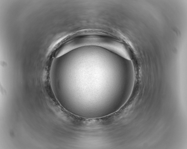 X0000091191352200708091242