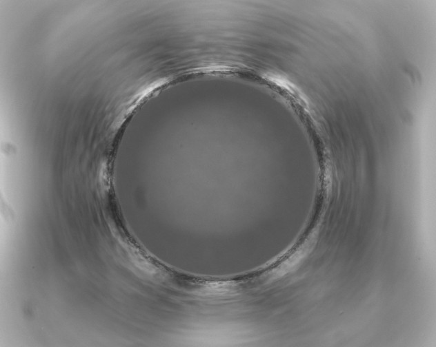 X0000091191353200708091242