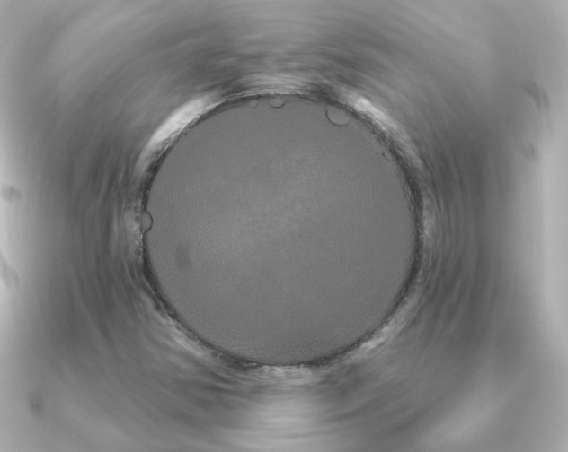 X0000091191354200708091242