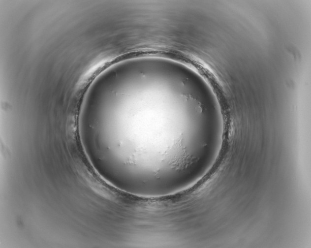X0000091191355200708091242