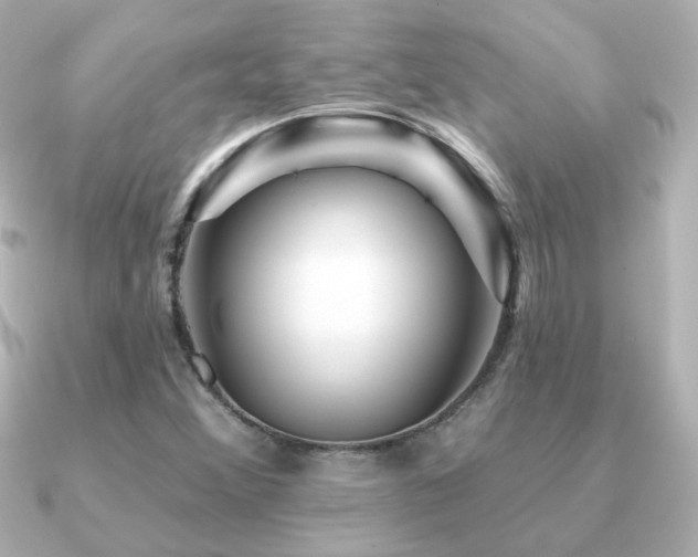 X0000091191356200708091242