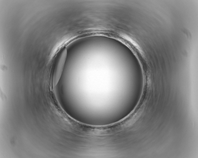 X0000091191357200708091242