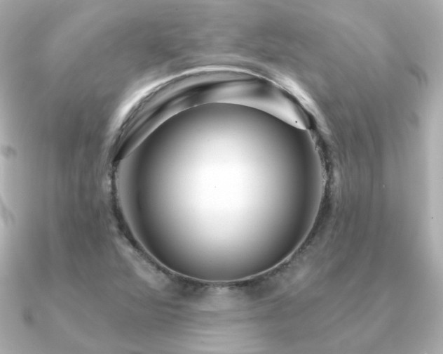 X0000091191360200708091242