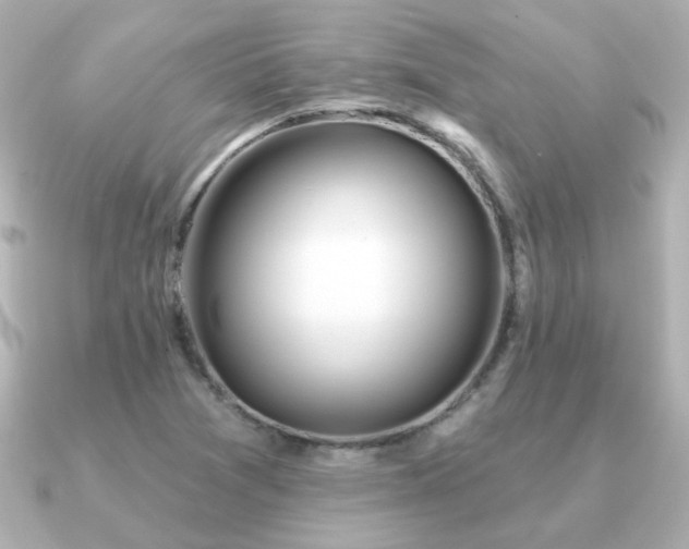 X0000091191361200708091242