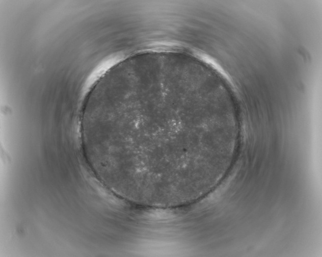 X0000091191362200708091242