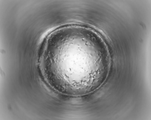 X0000091191363200708091242