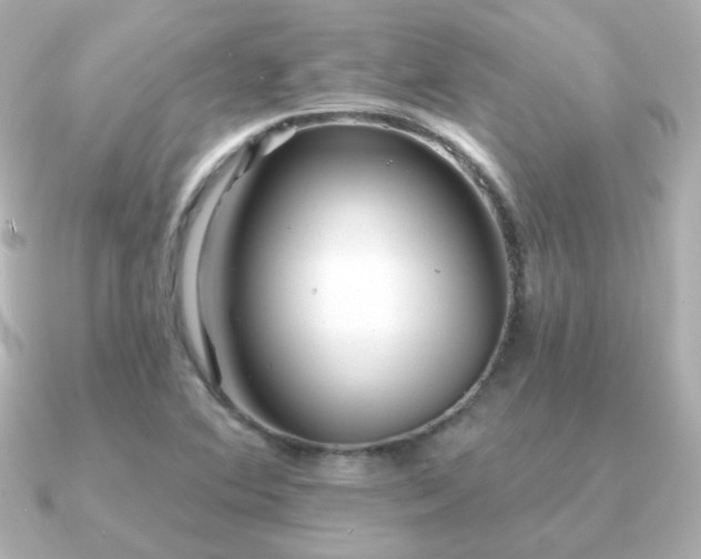 X0000091191364200708091242
