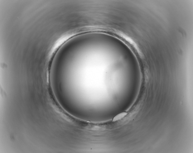 X0000091191365200708091242