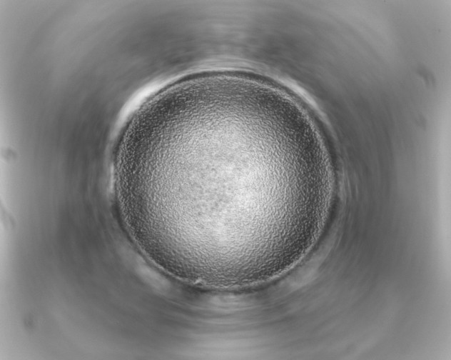 X0000091191366200708091242