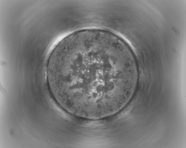 X0000091191367200708091242
