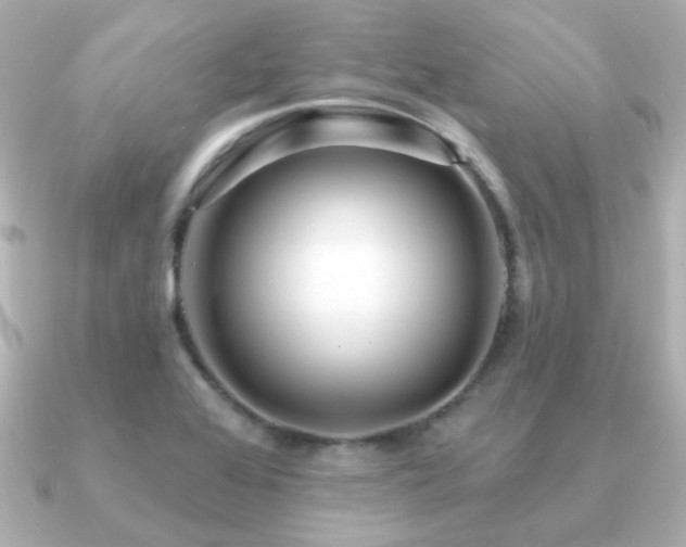 X0000091191368200708091242