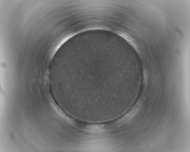 X0000091191369200708091242