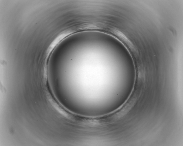 X0000091191370200708091242