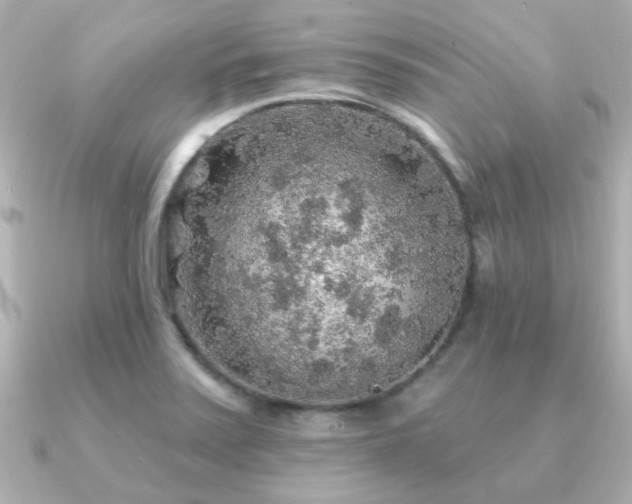 X0000091191371200708091242