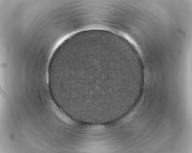 X0000091191372200708091242