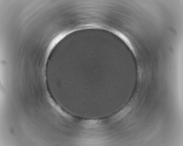 X0000091191373200708091242