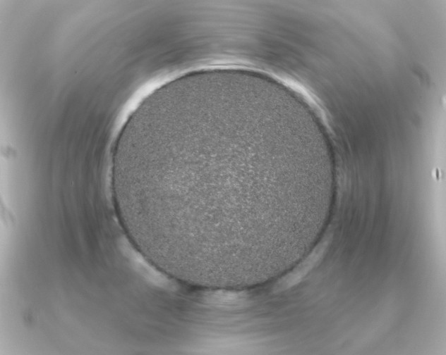 X0000091191374200708091242