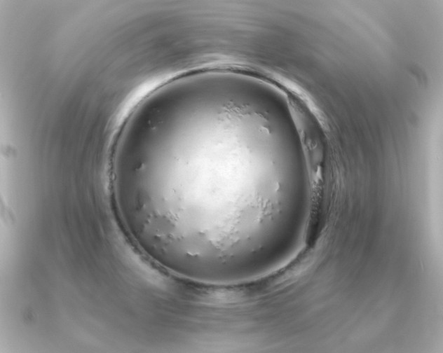 X0000091191375200708091242