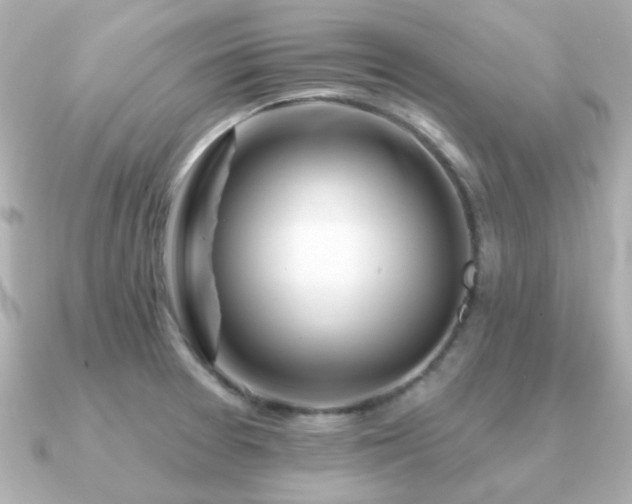 X0000091191377200708091242