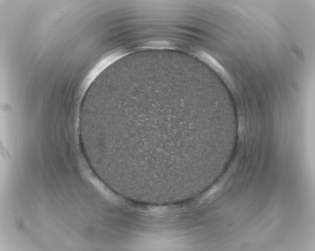 X0000091191378200708091242
