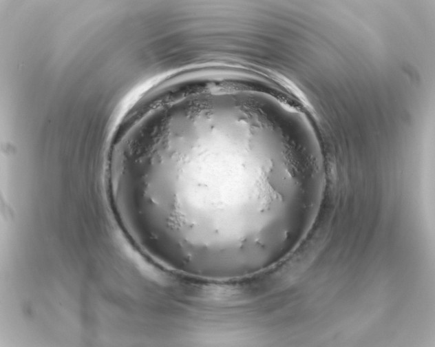 X0000091191379200708091242