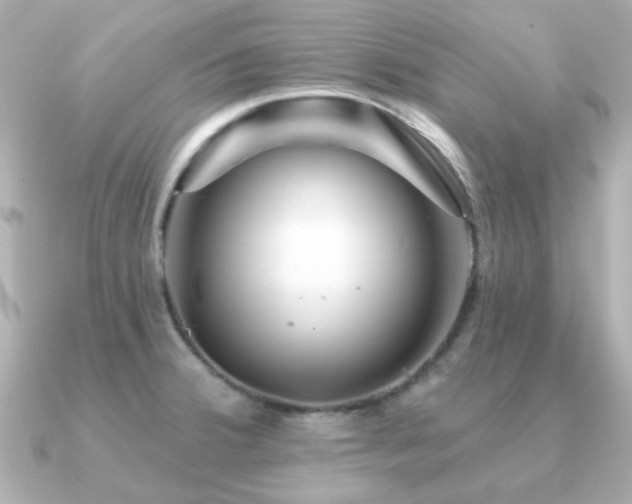X0000091191380200708091242