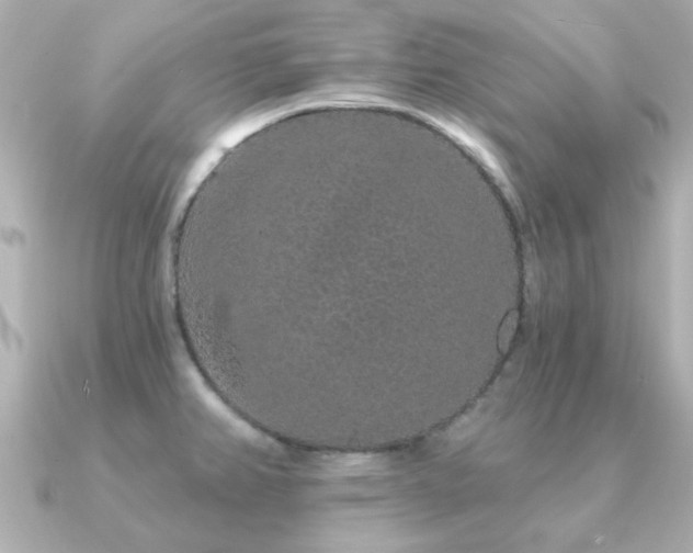 X0000091191382200708091242