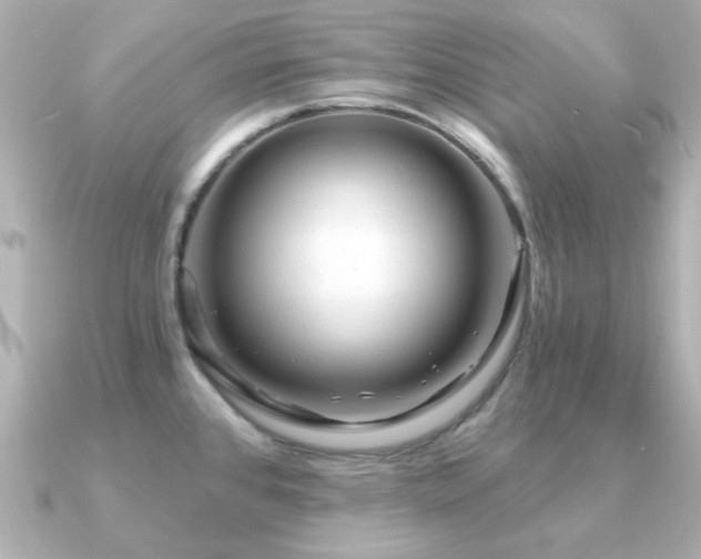 X0000091191384200708091242
