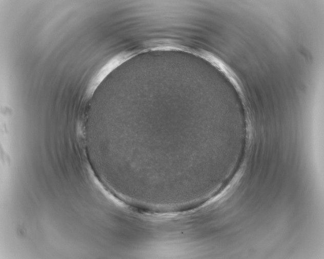 X0000091191385200708091241