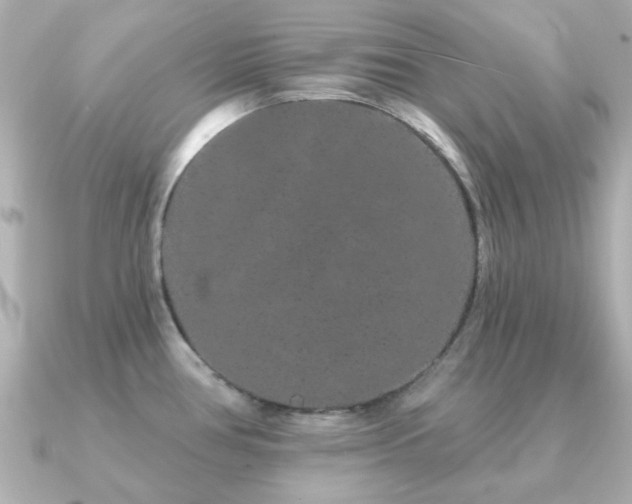 X0000091191386200708091241