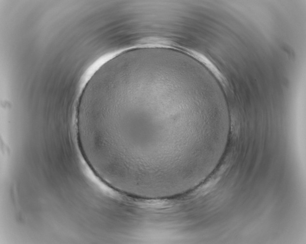 X0000091191387200708091241