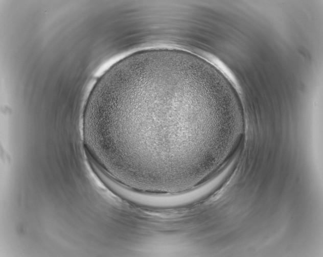 X0000091191388200708091241