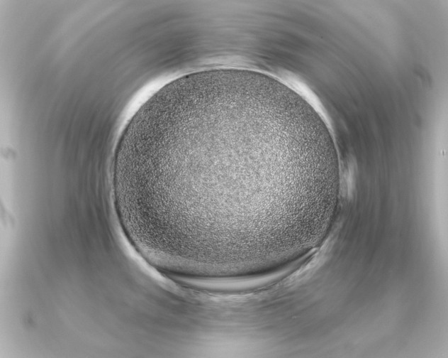 X0000091191389200708091241