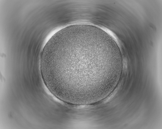 X0000091191390200708091241