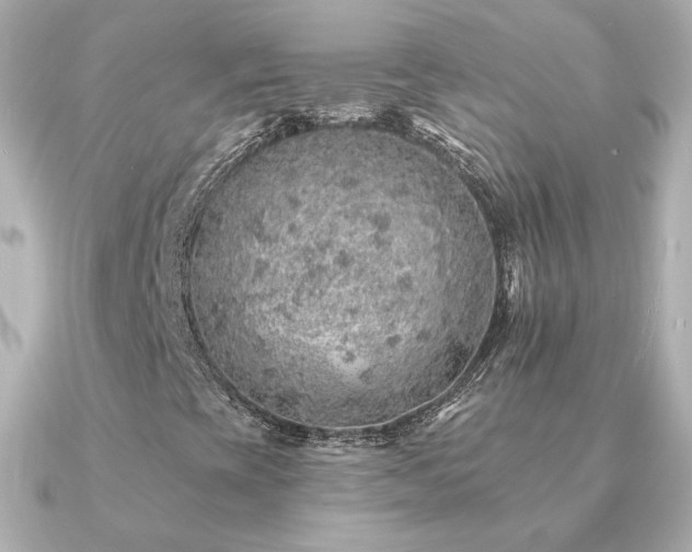 X0000091191393200708091241