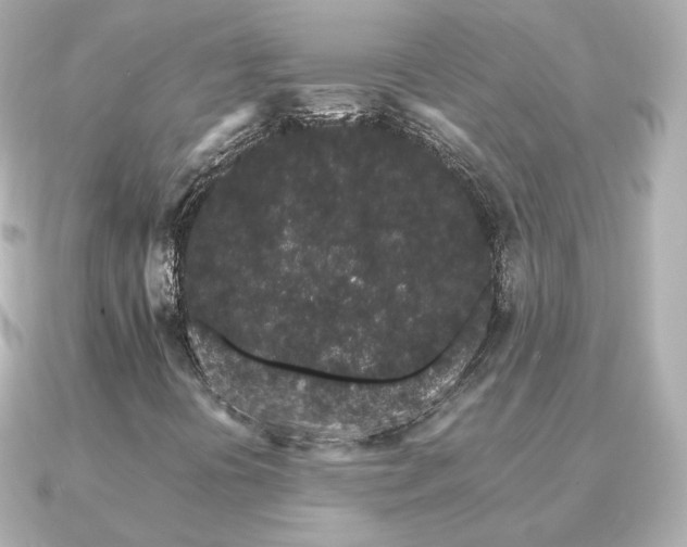 X0000091191394200708091241