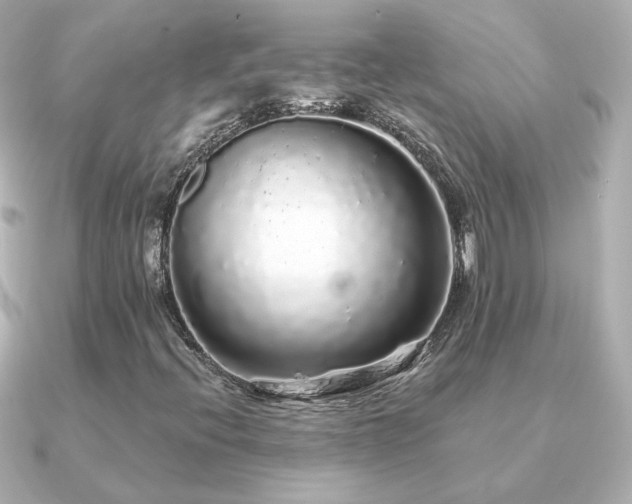 X0000091191396200708091241