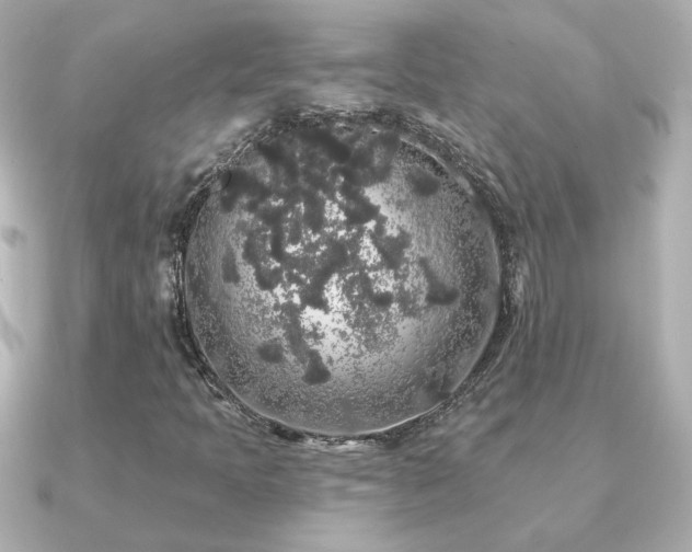 X0000091191397200708091241