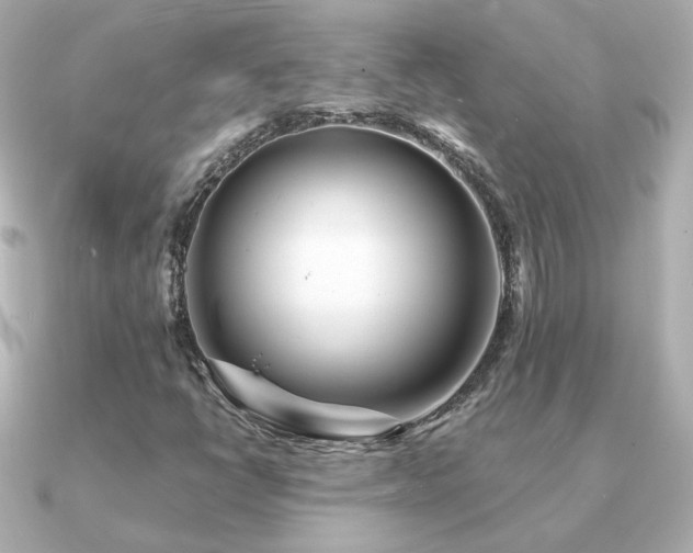 X0000091191398200708091241