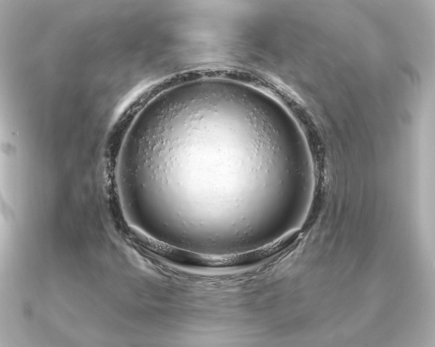 X0000091191400200708091241