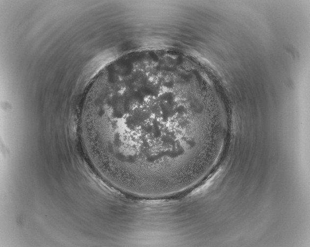 X0000091191401200708091241